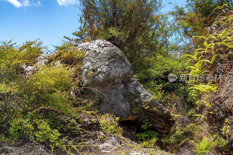 新西兰陶波隐谷的Orakei Korako地热公园和洞穴中的大象岩